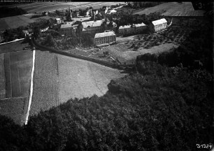 Steinfeld (Eifel), Kloster