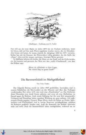 Die Bammerthüüsli im Markgräflerland