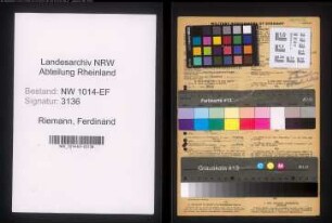 Entnazifizierung Ferdinand Riemann , geb. 07.04.1916 (Kaufmann)