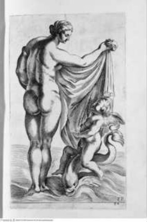 Segmenta nobilium signorum e[t] statuaru[m], quae temporis dentem invidium evasere, urbis aeternae ruinis erepta typis aeneis ab ce commissa perpetuae venerationis monumentum. (Romae) 1638 (1653)Tafel 84: Venus emergens e' mari - Illmo. D. D. Rogerio Duplesseis Dño. de Liancourt Marchioni de Montfort, comiti de la Rocheguion E.a. ... [Icones et] segmenta nobilium signorum et statuarum quae temporis dentem invidium evasere urbis aeternae ruinis erepta typis aeneis ab ce comissa perpetuae venerationis monumentum