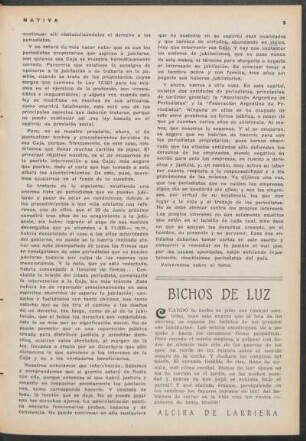 Bichos de luz