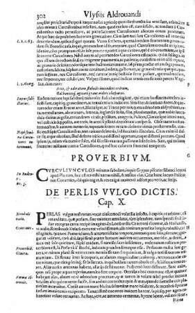 De Perlis Vulgo Dictis. Cap. X.