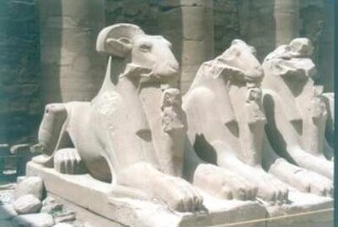 Allee mit Widder-Sphingen : Ägypten. Karnak. Karnak-Tempel. Widder-Sphingen im Eingangsbereich