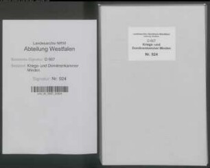 Amt Schlüsselburg - Bauerschaft Döhren: Unterlagen der Revisionskommission - Band 3
