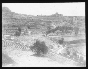 Oberes Käsemachertal [Jerusalem]