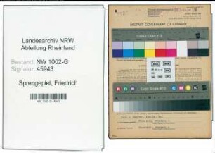Entnazifizierung Friedrich Sprengepiel, geb. 10.07.1891 (Malermeister)