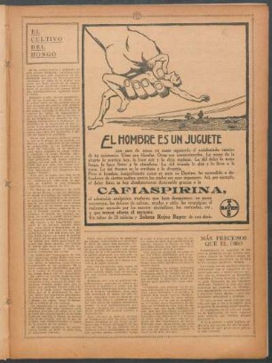 El cultivo del hongo