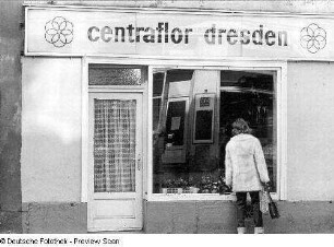 Dresden. Blumengeschäft von centraflor Dresden. Eingangstür und Schaufenster
