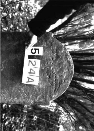 Grabstein A I/5/24A