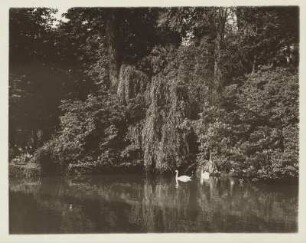Bad Lippspringe (Westfalen). Der Quelle des Flusses Lippe