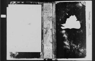 Steinbach, katholische Gemeinde: Sterbebuch 1810-1840