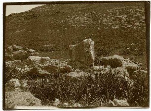 Steinkreis bei 'ejun musa