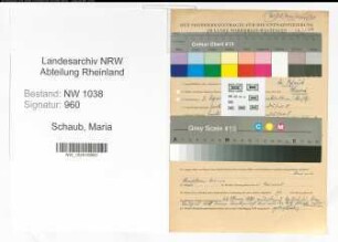 Entnazifizierung Maria Schaub , geb. 03.04.1894 (Kommanditistin)