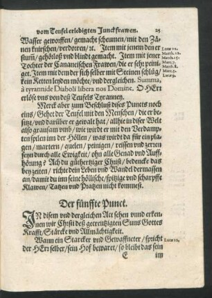 Der fünffte Punct.