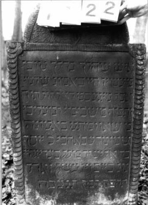 Grabstein 1122 (Index: 99902910) Material: Sandstein Maße HxBxT: 105x60x10 cm Symbolik: Blume: Grabstein 1122 (Detailaufnahme)