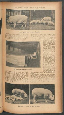 Una granja modelo en el país de Caux
