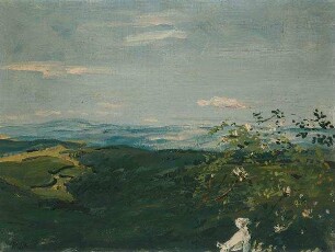 Landschaft mit blühendem Obstbaum