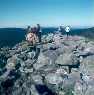 Nationalpark Bayerischer Wald. Blick vom Lusen