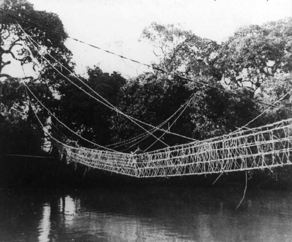 Liana bridge over the Mungo