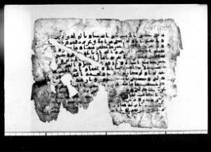 al- Qurʾān [DAM 15-19.1]