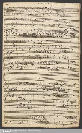 Ms. Ff. Mus. 504 - Am 7. Sontage nach Trinit: : C. T. B, flauto traverso 1mo, flauto traverso 2do, violino 1mo, violino 2do, viola con organo