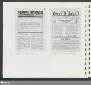 Zeitungen und Zeitschriften nach dem ersten Weltkrieg