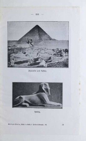 Pyramide und Sphinx. Sphinx