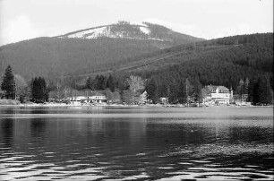 Titisee: Kurpark Titisee; Baum und Wiese vom See; See vom Hochfirst