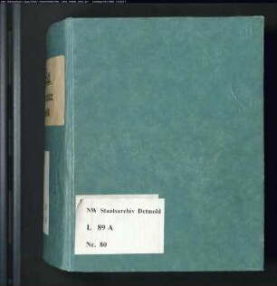 Gogerichtsregister Vogtei Detmold