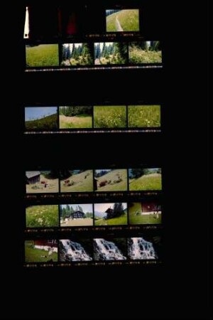 Landesschau-Bilder: Sommer