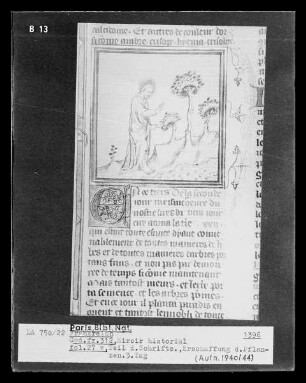 Miroir historial, fol. 27v, Erschaffung der Pflanzen, 3. Tag