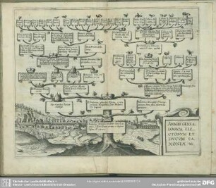 Arbor Genealogica Electorum Et Ducum Saxoniae, [et]c.