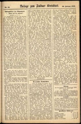 Zweite Ausgabe vom Samstag, den 22. Februar 1879.