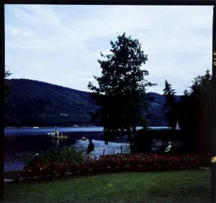 Titisee: Titisee vom Kurpark