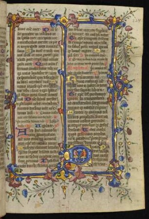 Initiale D mit Bordürenstäben (Vollbordüre) und Fadenranken (Ps 52)