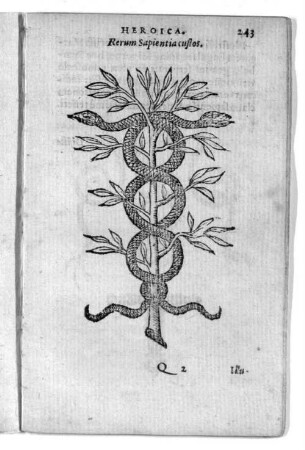 Rerum Sapientia custos.