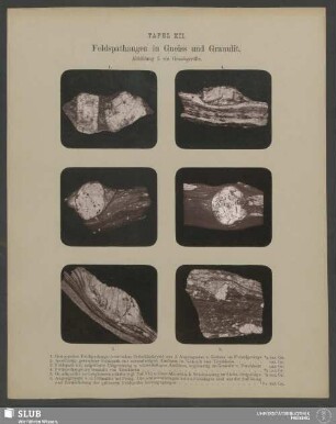 Feldspathaugen in Gneiss und Granulit