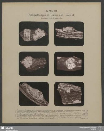 Feldspathaugen in Gneiss und Granulit