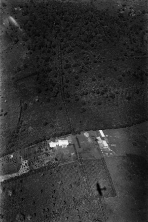 Plantage : Blick auf eine Plantage in Tansania.