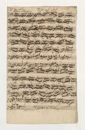 Violino I (c-Moll)