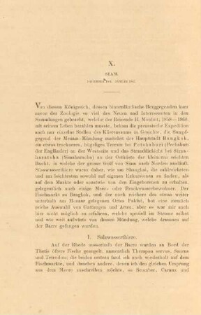 X. Siam. December 1861. Januar 1862