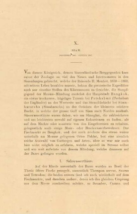 X. Siam. December 1861. Januar 1862