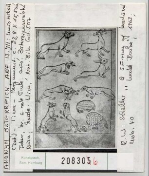 Wien, Nationalbibliothek: Cod. 507. Musterbuch, Tiere