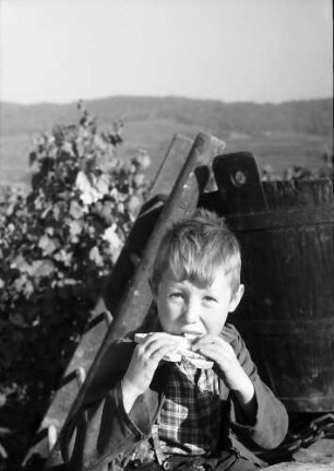 Bischoffingen: Kinder vespern an der Bütte