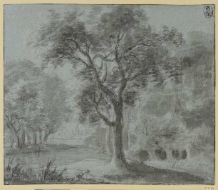 Baumreiche Landschaft, in der Mitte ein Fluss