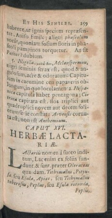 Caput XVI. Herbae Lactariae.