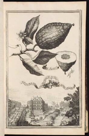 p. 122 Das Hochgræflich Polheimische Schlos Zvr Obern Bürg Genant. - Ehemaliges Wasserschloss Oberbürg, Nürnberg