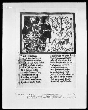 Rudolf von Ems, Weltchronik — Absaloms Tod, Folio 203verso