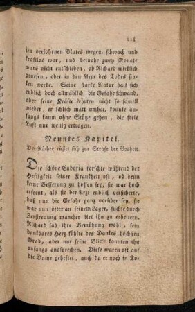 Neuntes Kapitel. Der Rächer rüstet sich zur Strafe der Bosheit.