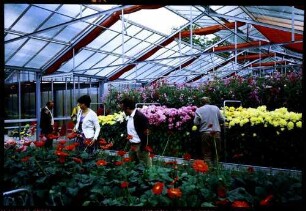 Ulm: erste Landesgartenschau Baden-Württemberg und Bayern, Blumengewächshaus